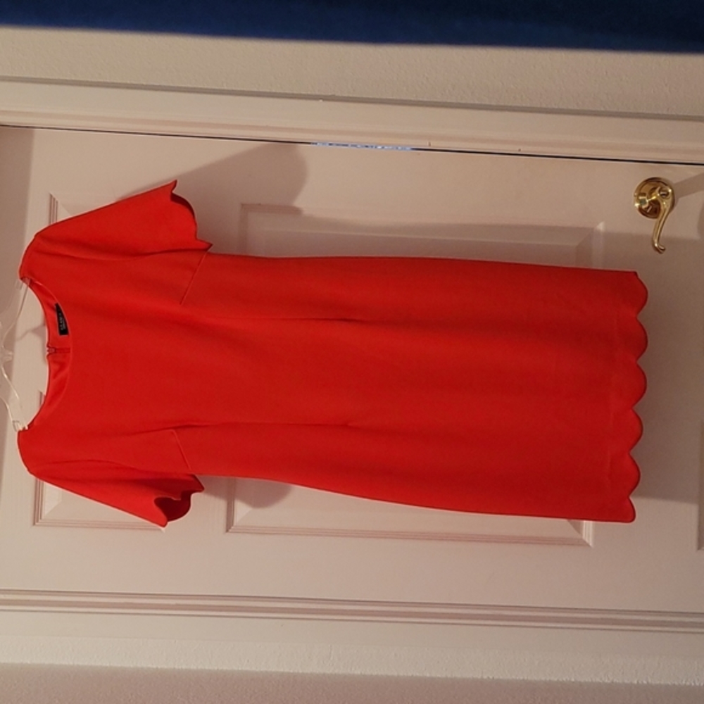Dress - Picture 2 of 5